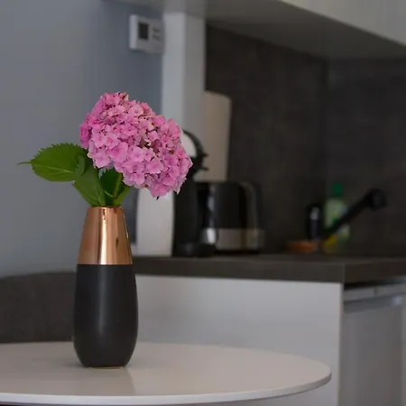 Petit Design Apartment *